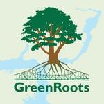 tree with sprawling canopy and extensive roots and the words GreenRoots underneath